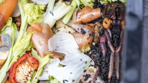 Kompost aus Küchenabfällen