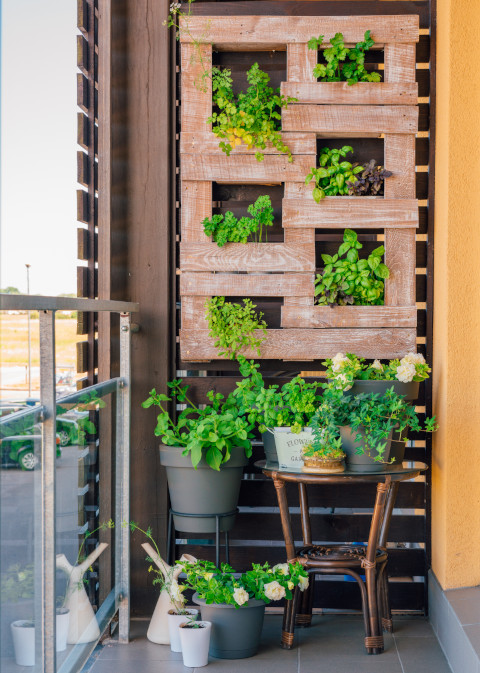 Upcycling im Vertical Farming