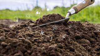 Bodenkunde: Was Sie über Ihren Gartenboden wissen sollten