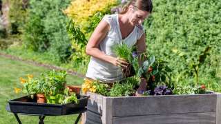 VEGAN: 100% plantaardige en natuurlijke verzorging voor jouw planten
