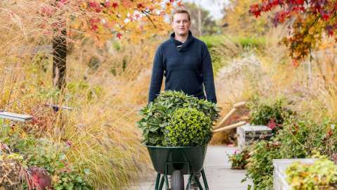 Gartenarbeit im Herbst – das ist jetzt zu tun