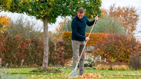 Herbst-Wellness für den Rasen