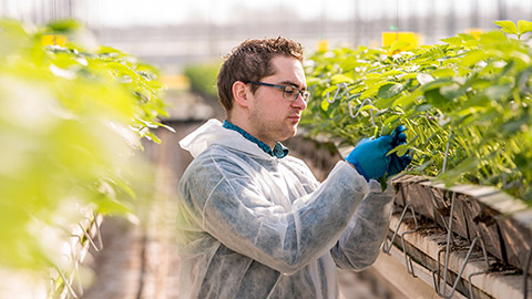 L’innovation durable comme le bien suprême