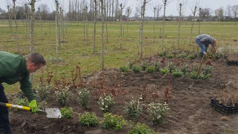 Praktijkdagen aanplanten