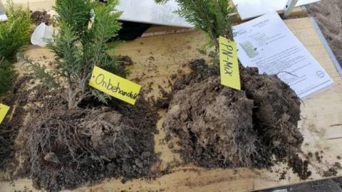 DCM PN-MIX: Kickstart met organisch-minerale startmeststof!