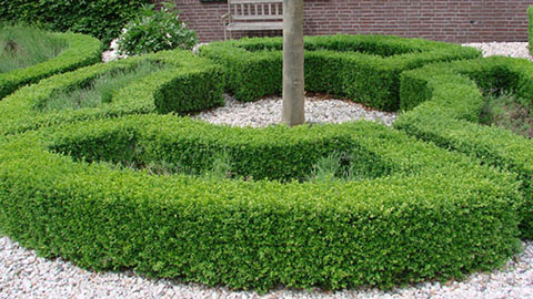 DCM MIX 2 Universaldünger für den Ziergarten