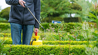 Flüssigdünger & Blattdünger