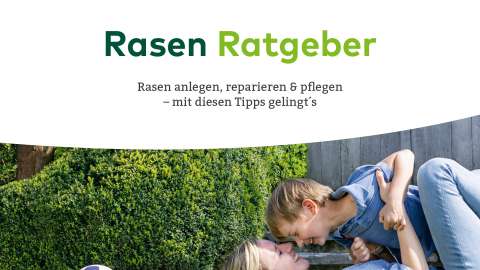 Download: Verkaufshilfen & Produktflyer