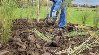 Tuinen Brouckaert always gives plants a good start with DCM VIVIMUS®