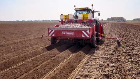 L’amendement du sol DCM VIVISOL®-AGRI permet d’obtenir un rendement plus élevé dans la culture de pommes de terre biologiques