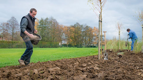 DCM BODENAKTIVATOR, unieke aanlegmeststof voor de aanplant en inzaai