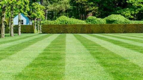 Düngeschemen GaLaBau