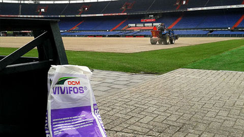 DCM VIVIFOS für Neuansaaten und Rollrasen