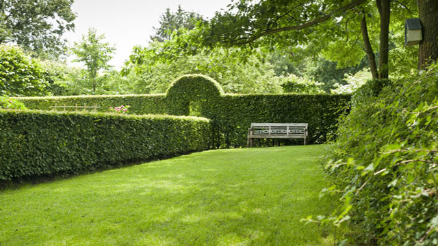 Kalk & Bodenhilfsstoffe