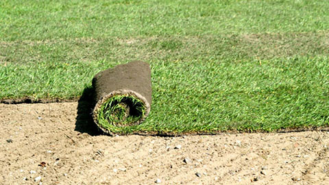 DCM VIVIFOS® - Uitrollen van graszoden