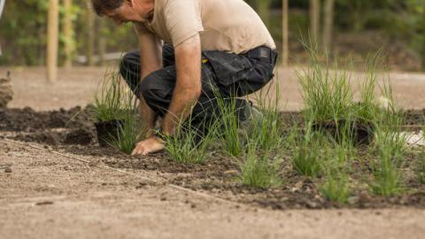 Landscaping