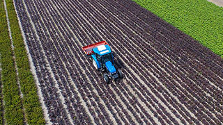 DCM organische meststoffen met MINIGRAN® Technology, voor de biologische tuin- en landbouw