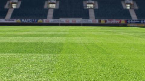 Sportplatzrasen-Dünger