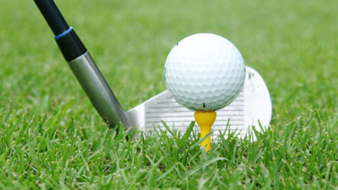 Standaardbemestingsschema’s voor golfvelden