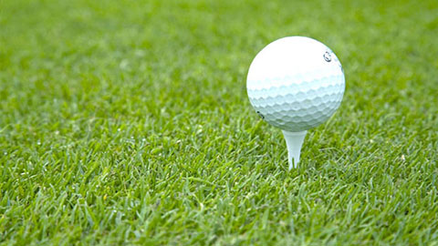 Bodemverbetering op green, fore green, putting green en tee
