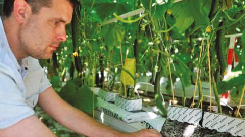 Lees hier het artikel uit vakblad Onder Glas over VIVISOL® en VITACT® F