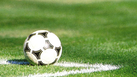 Grasnarbe verstärken und verhärten