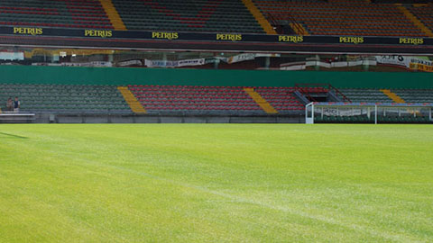 DCM VIVIFOS für eine bessere Wurzelbildung der Pflanzen