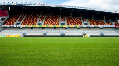 DCM SPORTRASENDÜNGER - Wir möchten Ihnen unsere beste Mannschaft vorstellen...