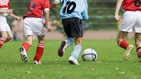 DCM SPORTMESTSTOFFEN - Wij stellen u graag onze beste ploeg voor...