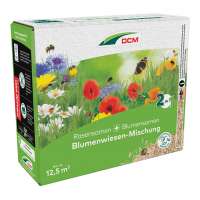 DCM Blumenwiesen-Mischung