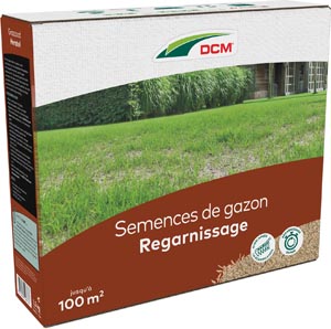 Semences de gazon Regarnissage DCM