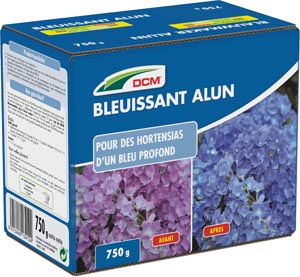 Bleuissant Hortensias - Alun DCM