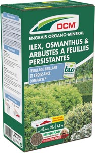 Engrais Ilex, Osmanthus & Arbustes à feuilles persistantes DCM