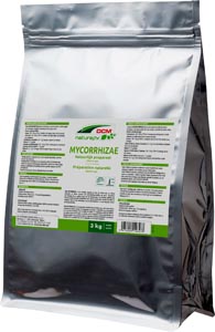 DCM MYCORRHIZAE